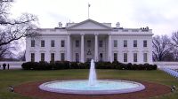 Governo Trump busca proteger aliados com Lei Magnitsky, diz ONG dos EUA