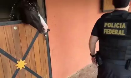 cavalo