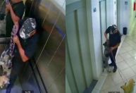 Homem é flagrado maltratando cães dentro de elevador em SP