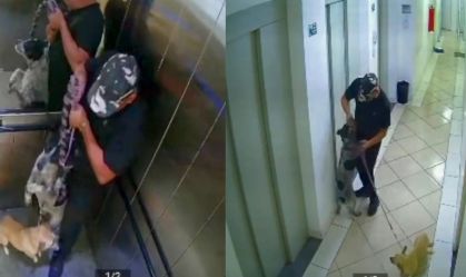 Homem é investigado por maus-tratos a cachorros na Zona Leste de SP