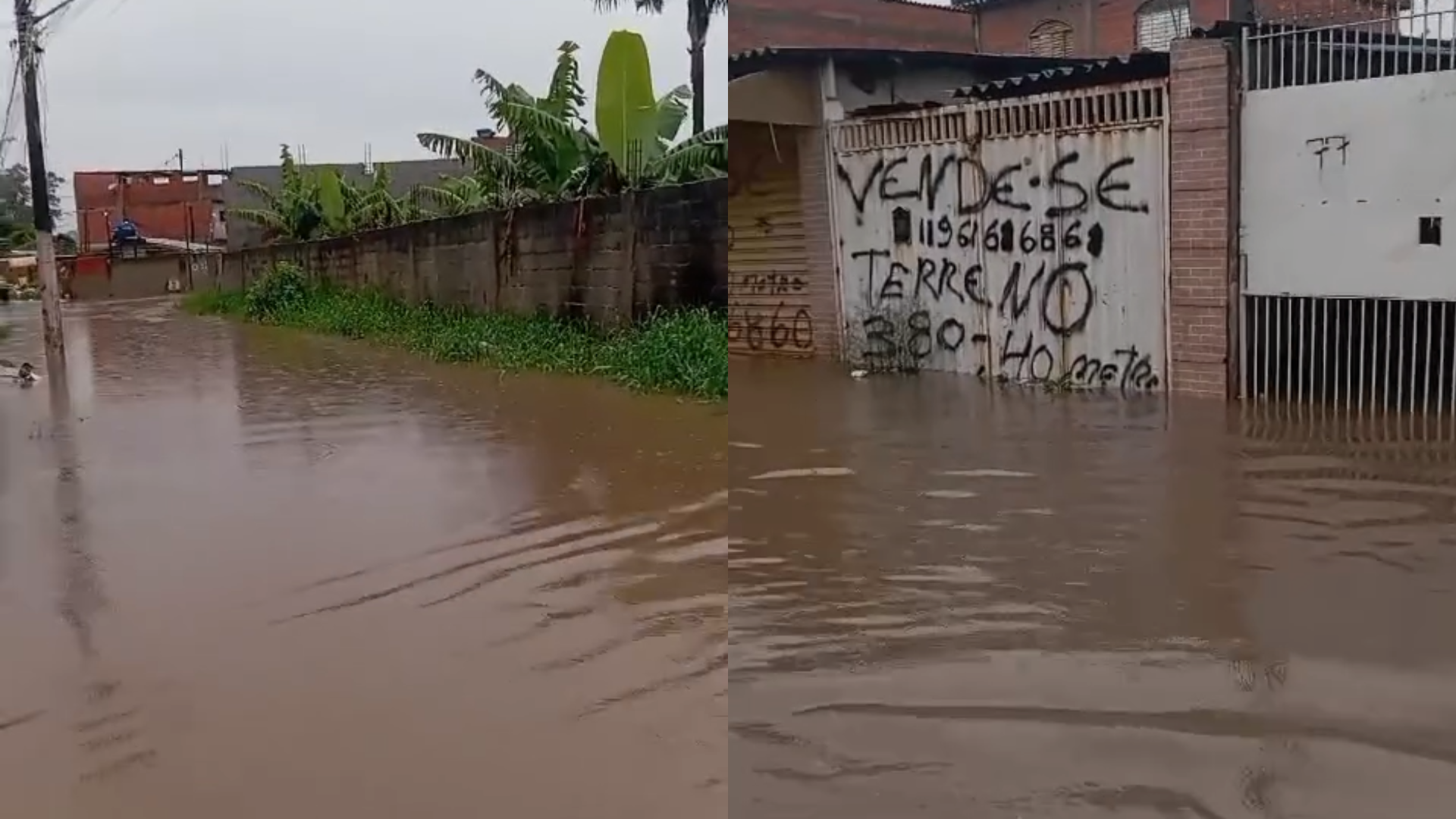 chuva sp (3)