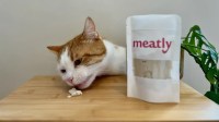 Primeira carne de laboratório para pets do mundo é lançada no Reino Unido