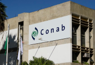 Com apoio do BNDES, Conab vai reinvestir R$ 170 mi em armazenagem