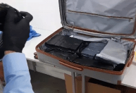 Americano é preso com drogas em mala no aeroporto de Guarulhos