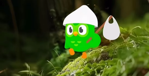 duolingo-mascote