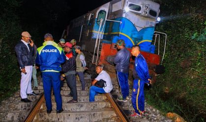 Trem colide com manada de elefantes e mata seis animais na Ásia, diz fonte