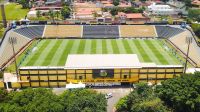 Novorizontino x Palmeiras: onde assistir à final do Paulistão