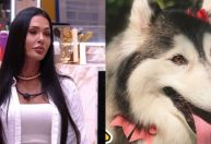 Ana Maria Braga pede ajuda para encontrar cachorro de Gracyanne Barbosa