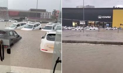 httpswww.cnnbrasil.com.brwp-adminpost.phppost=12273802&action=edit