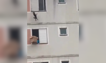 httpswww.cnnbrasil.com.brwp-adminpost.phppost=12273802&action=edit (34)