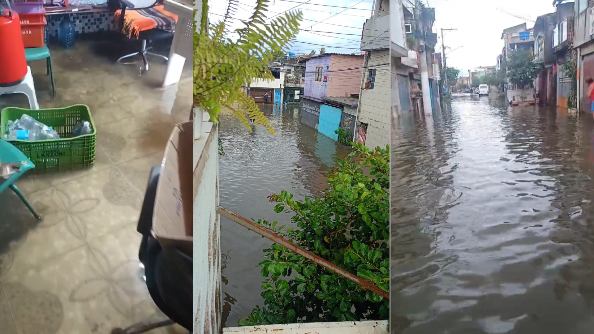 imagens cnn