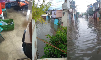 imagens cnn