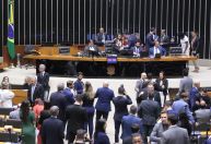 Câmara aprova projeto para cuidados a animais durante desastres naturais