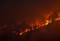 Incêndio florestal no Japão atinge casas e milhares de pessoas fogem