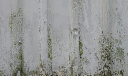 Mofo é problema comum em casa e perigoso à saúde: veja como evitá-lo