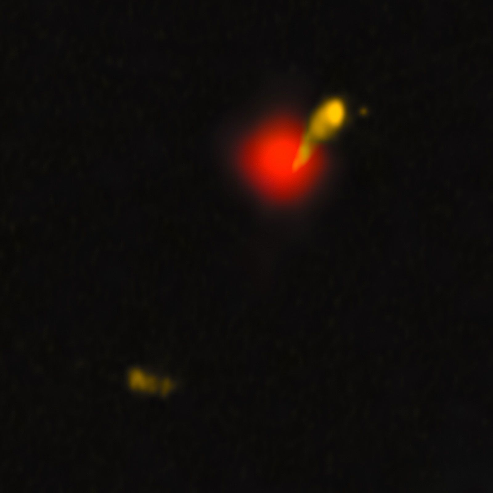 As listras amarelas nesta imagem composta, feita usando vários telescópios, representam o jato liberado pelo quasar • NOIRLab/LOFAR/DECaLS/DESI Legacy Imaging via CNN Newsource