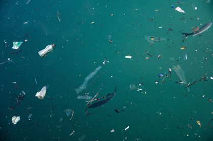 Microplásticos sufocam a vida selvagem e perturbam o ecossistema