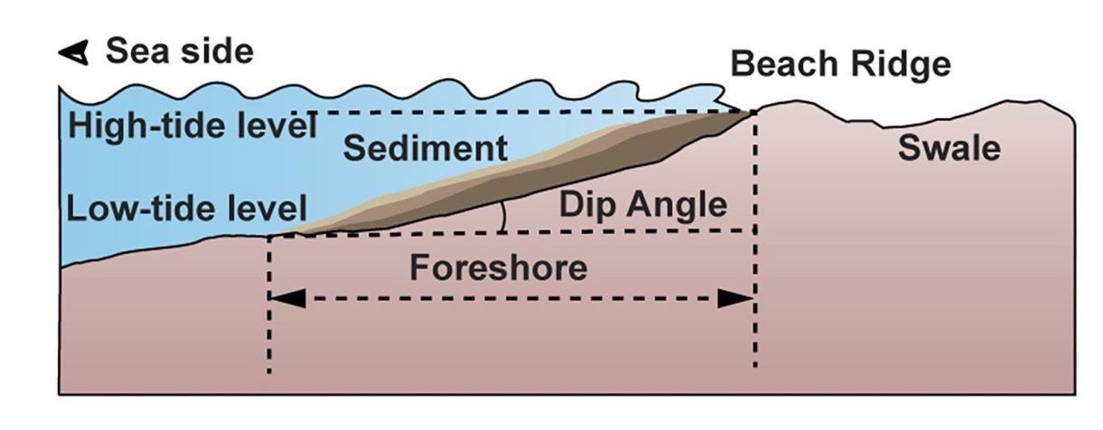 Gráfico mostra como as marés e os ventos do oceano carregam sedimentos em direção à costa da Terra, onde os sedimentos formam praias • Hai Liu/Guangzhou University, China via CNN Newsource