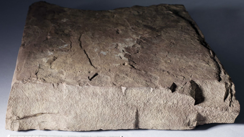 As runas da pedra do Buraco 3 sugerem que a inscritora pode ter sido uma mulher, com base na análise dos pesquisadores