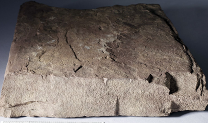 Pesquisadores revelam mensagens misteriosas em pedra mais antiga do mundo