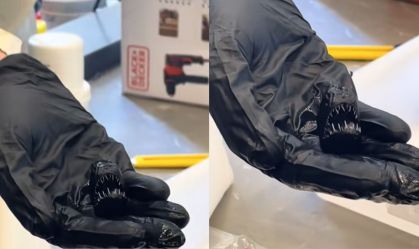 Tamanho real do peixe "diabo negro" impressiona internautas; entenda
