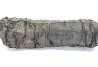 "Nojo" está entre palavras decodificadas em pergaminho de 2 mil anos