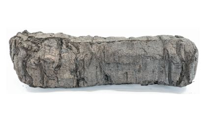 "Nojo" está entre palavras decodificadas em pergaminho de 2 mil anos