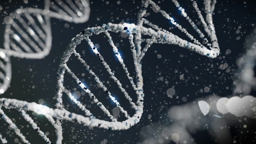 Os dados obtidos podem contribuir para análises de doenças relacionadas a fatores genéticos