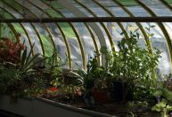 Estufa que mantém plantação fresca se torna valiosa com aquecimento global