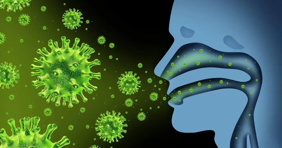 Remédio natural pode reduzir sintomas do resfriado em até 70%, diz estudo