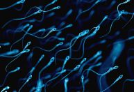 O que o sêmen diz sobre a saúde? Entenda como ter esperma mais saudável
