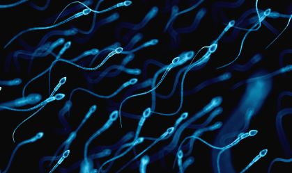 O que o sêmen diz sobre a saúde? Entenda como ter esperma mais saudável