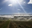 Agro brasileiro pede "resposta firme e estratégica" contra tarifa de Trump