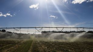 Agro brasileiro pede "resposta firme e estratégica" contra tarifa de Trump