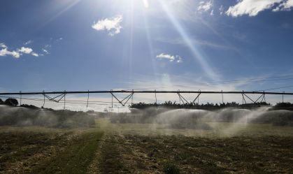Agro brasileiro pede "resposta firme e estratégica" contra tarifa de Trump