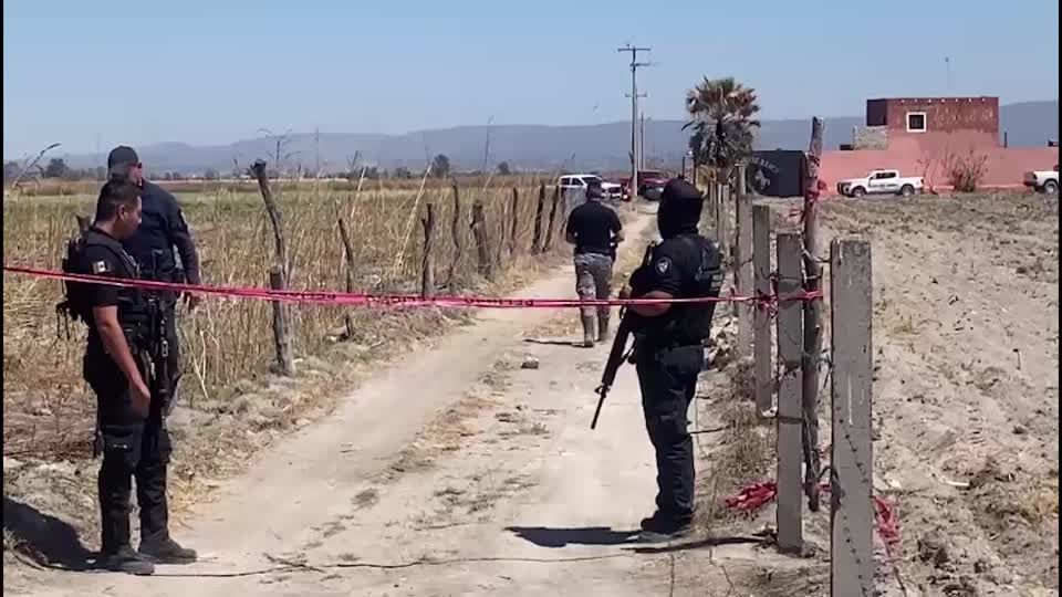 Vala comum México