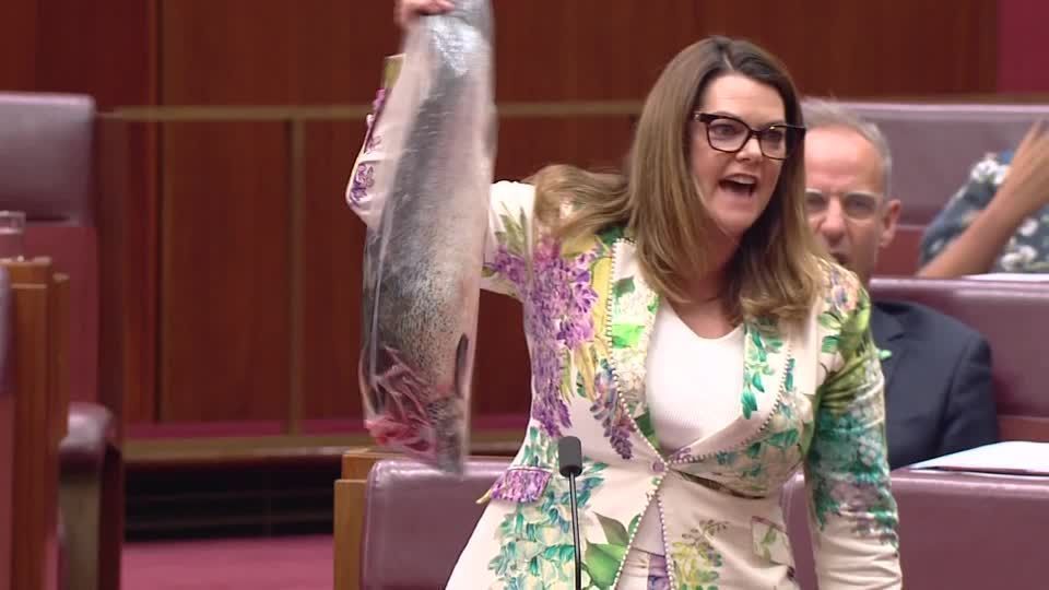 Senadora australiana com peixe salmão no Parlamento.