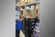 Baratas no feijão e larvas: fiscais apreendem 290 kg de alimentos no RJ
