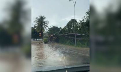 Chuva Formiga-MG