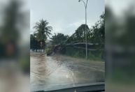 Chuva derruba árvore, causa alagamentos e deixa moradores sem energia em MG