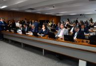 CCJ do Senado aprova reforço para proteção de mulher vítima de violência