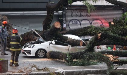 Chuvas já deixaram mais mortos e feridos do que no verão passado em SP