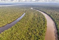 Desmatamento na Amazônia piora secas e tempestades, aponta estudo