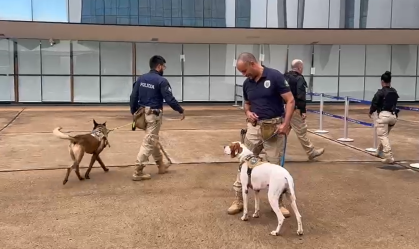 CÃES FAREJADORES