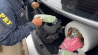PRF acha 90 mil comprimidos de ecstasy escondidos em puff dentro de carro