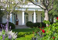 Trump fala em pavimentar jardim icônico da Casa Branca em entrevista