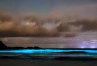 "Onda de Luz" em praia impressiona moradores e turistas em Ubatuba
