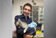 Psicólogo que fez "experimentos" com gatos no DF é indiciado 16 vezes