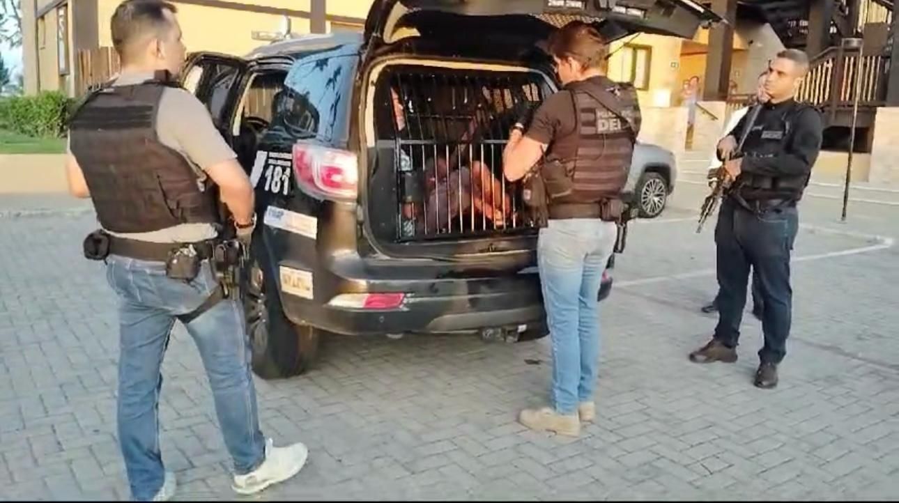 Imagem mostra suspeito após ser preso nesta terça (11)