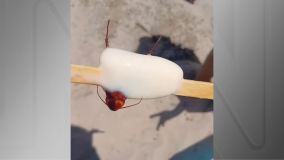 Consumidor encontrou barata em picolé no Rio de Janeiro